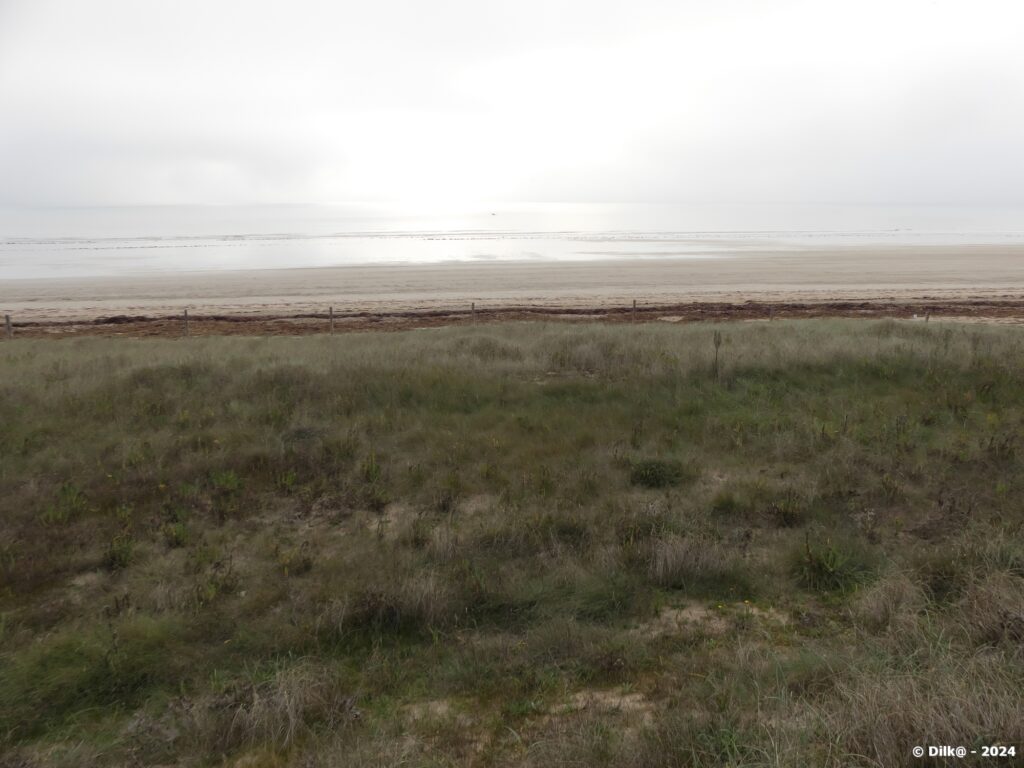 La plage du Pont d'Yeu avec au large l'île d'Yeu dans la brume