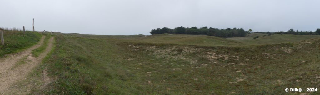 Les dunes de Notre Dame de Monts