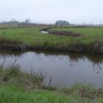 Le marais Breton Vendéen et l'église de Notre Dame de Monts au fond