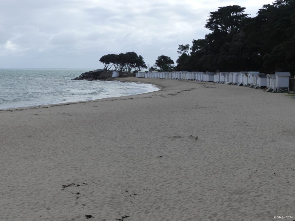 La plage des Dames