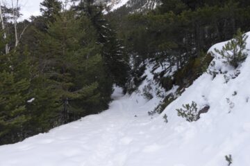 Le chemin qui monte au belvédère de la grotte des Balmes