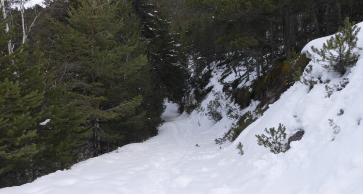 Le chemin qui monte au belvédère de la grotte des Balmes