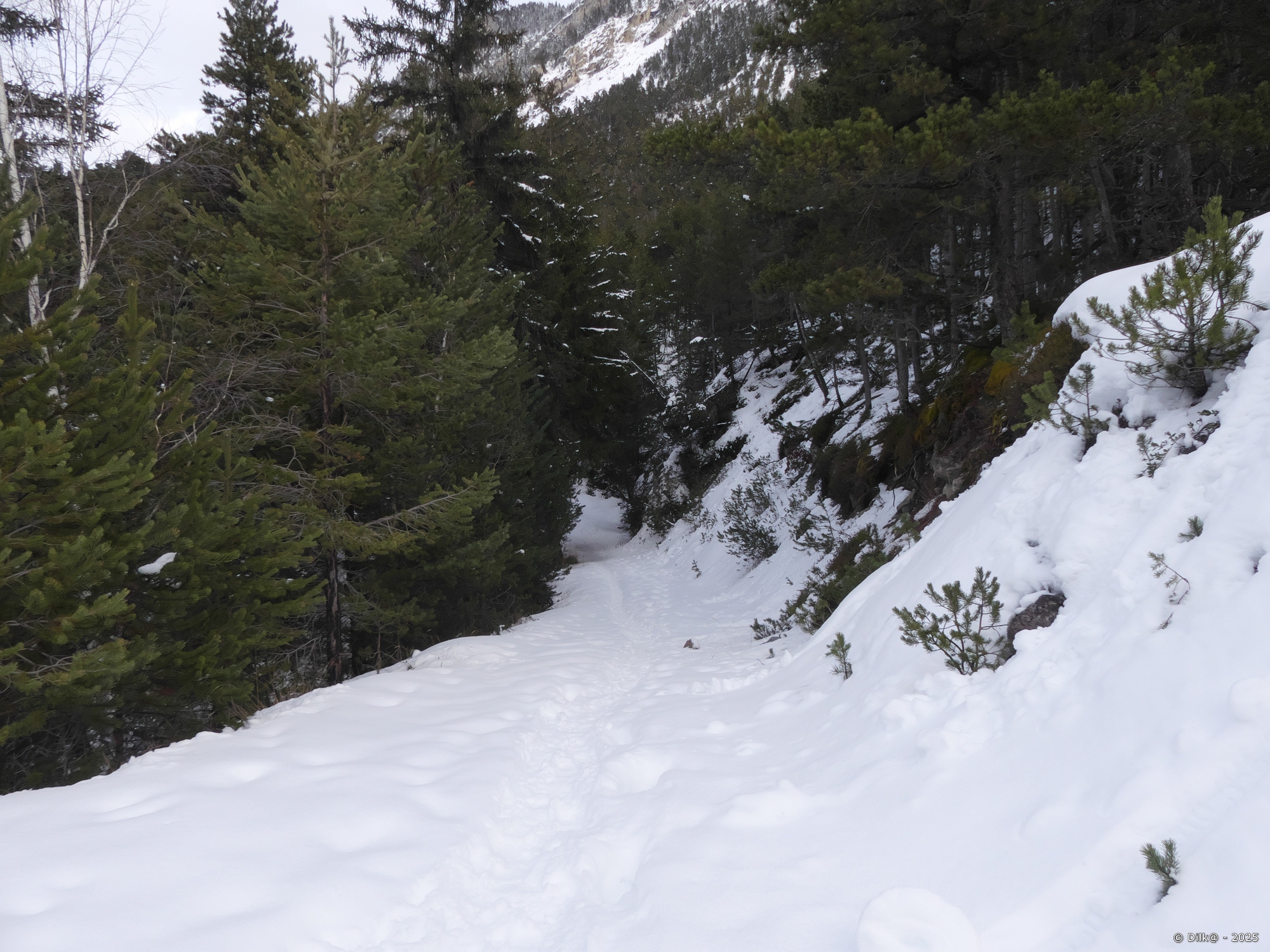 Le chemin qui monte au belvédère de la grotte des Balmes