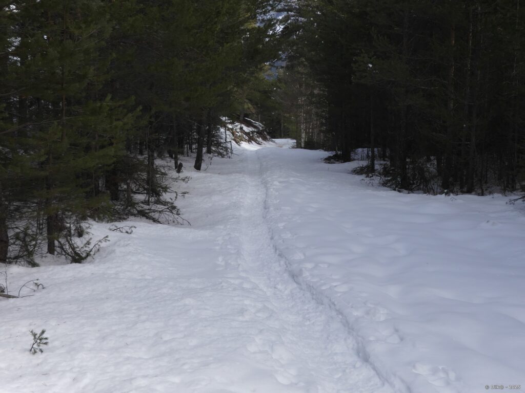 Le chemin du Grand Cerf