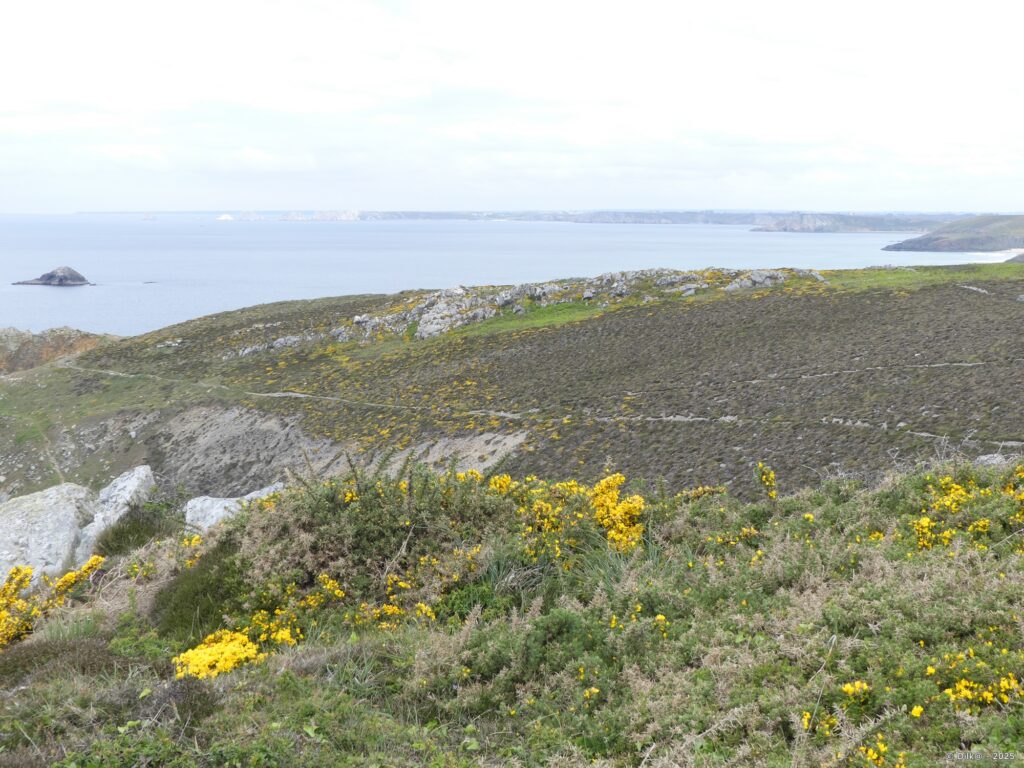 Le sentier côtier et au fond, le Tas de Pois