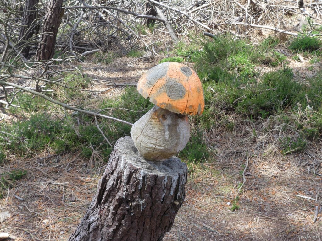 Champignon sculpté sur un tronc d'arbre