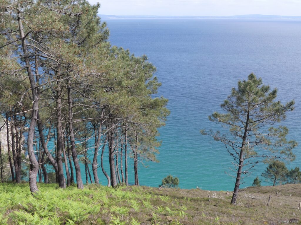 Le sentier côtier GR34 à Crozon a des allures de Corse