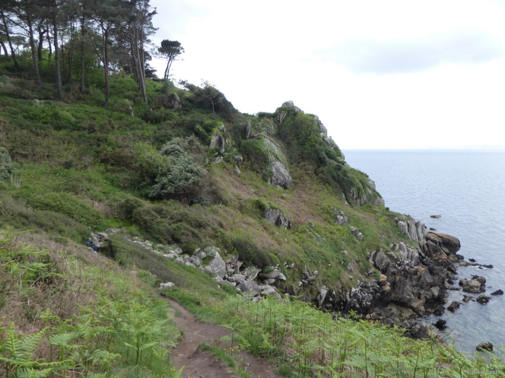 Passage acrobatique sur le sentier