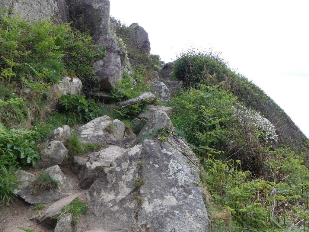 Entre marche et escalade