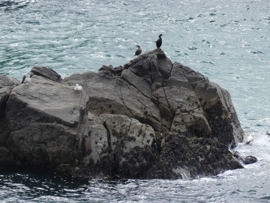 En noir et blanc