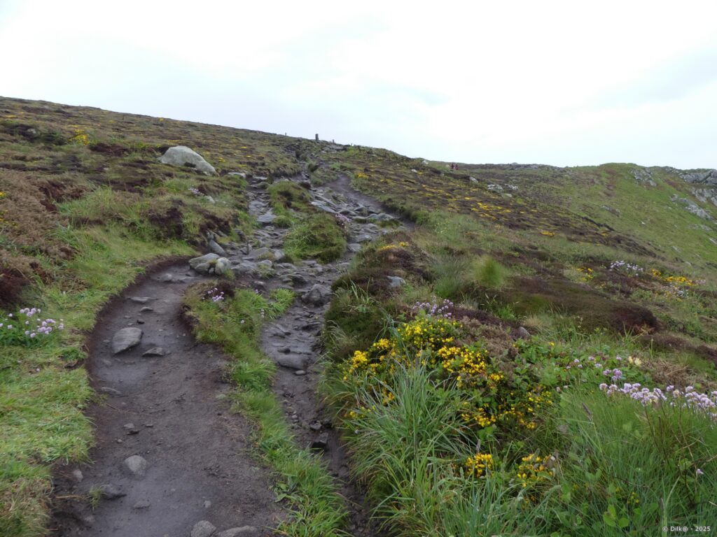 Le sentier côtier à l'approche de la pointe du Raz