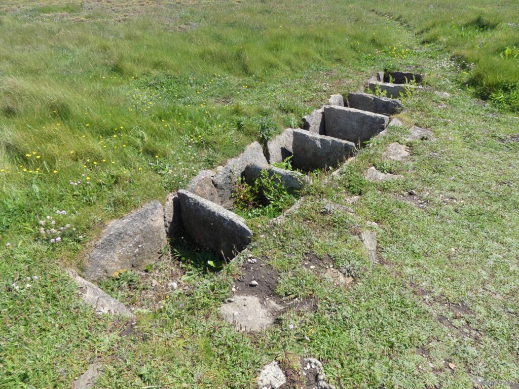Four à goémon