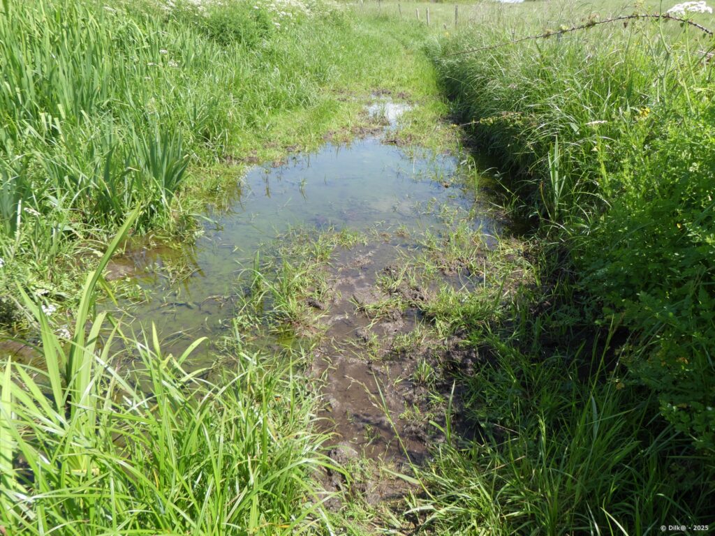 Le GR34 est recouvert d'eau et je dois faire demi-tour
