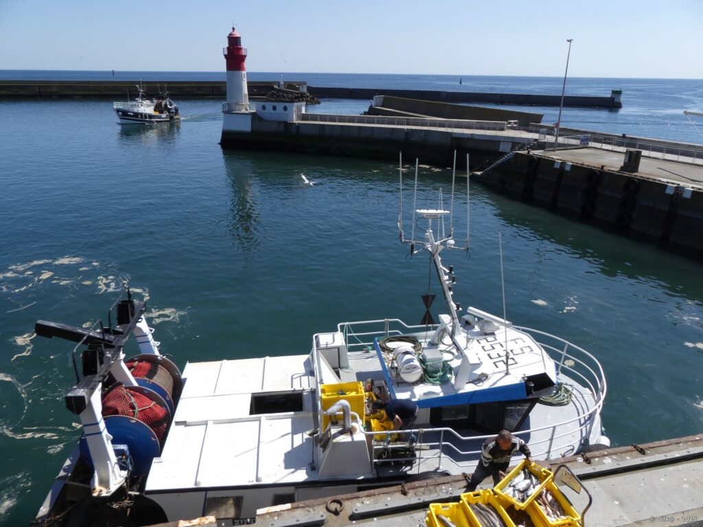 Le port du Guilvinec et son petit phare