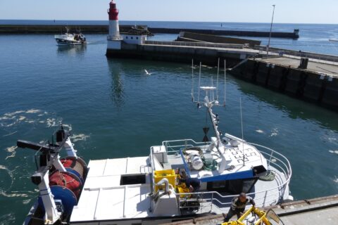Le port du Guilvinec et son petit phare
