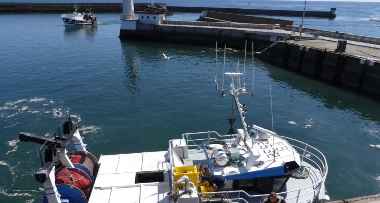 Le port du Guilvinec et son petit phare