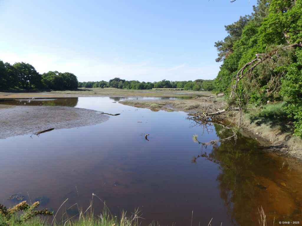 Le marais de Mousterlin