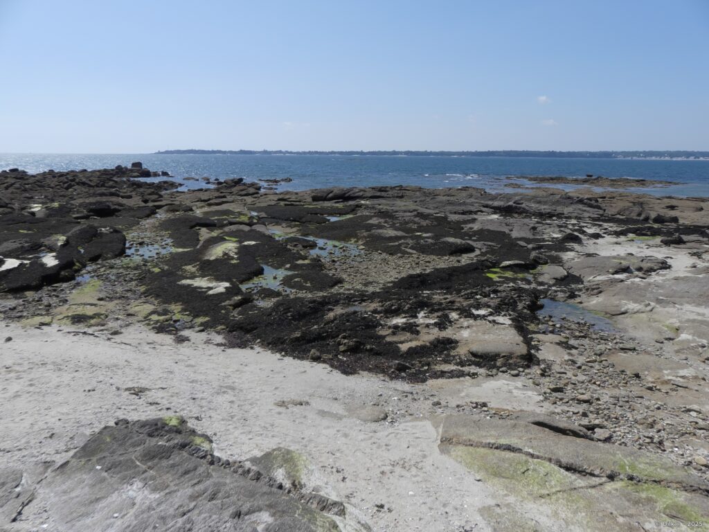 Vue vers Benodet depuis Concarneau