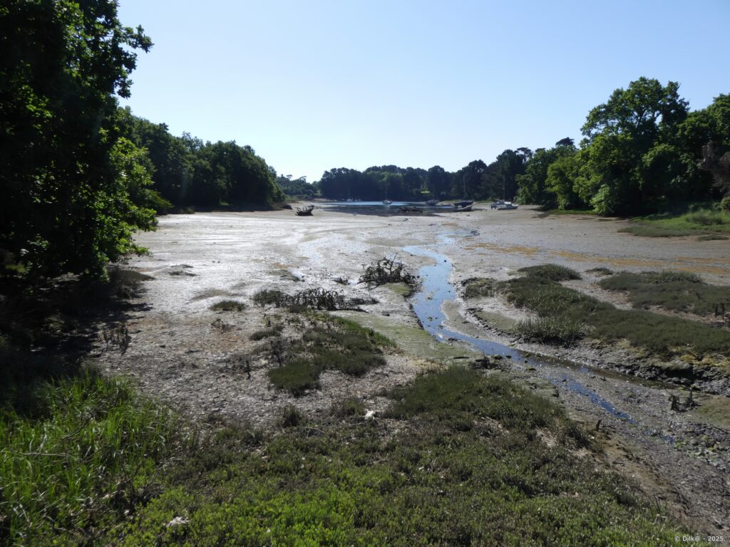 L'Anse du Moulin à Mer