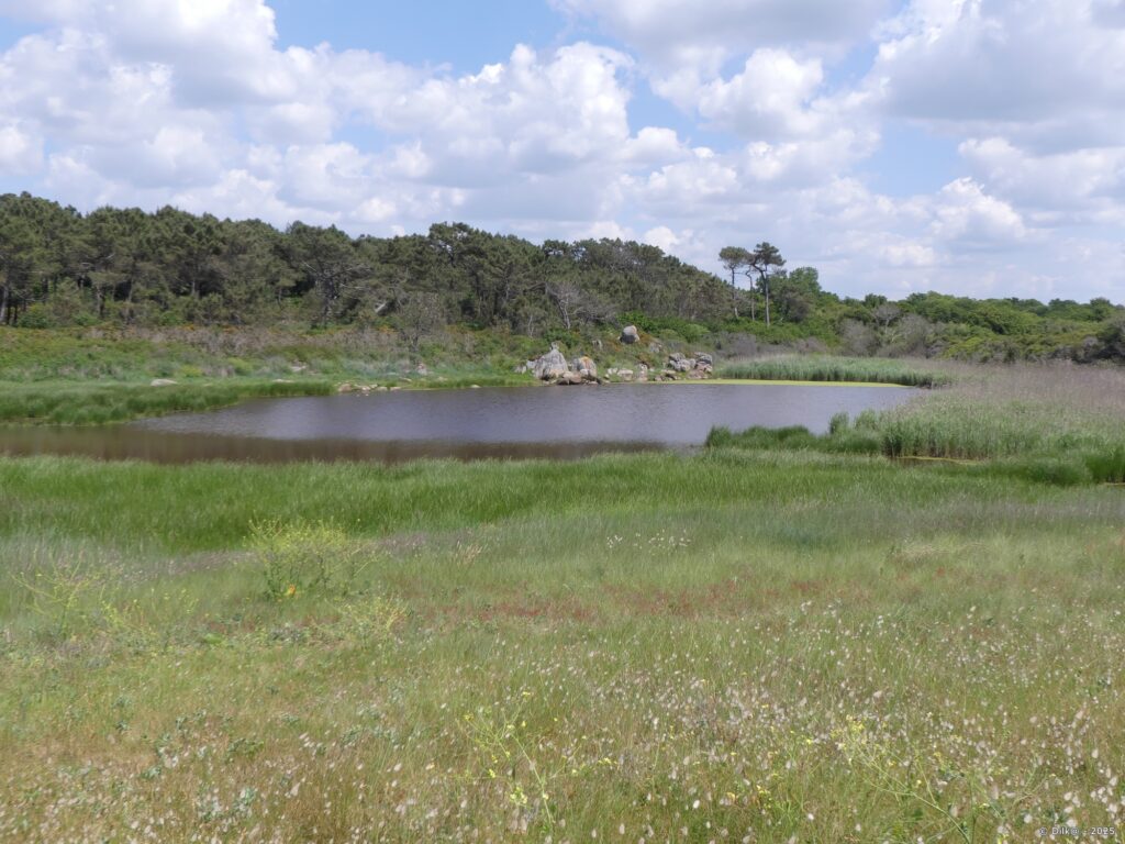 Étang de Kerouini
