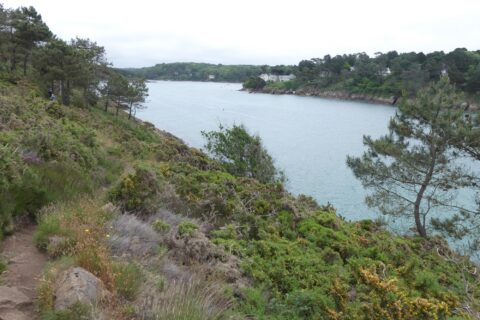 La rivière de Belon