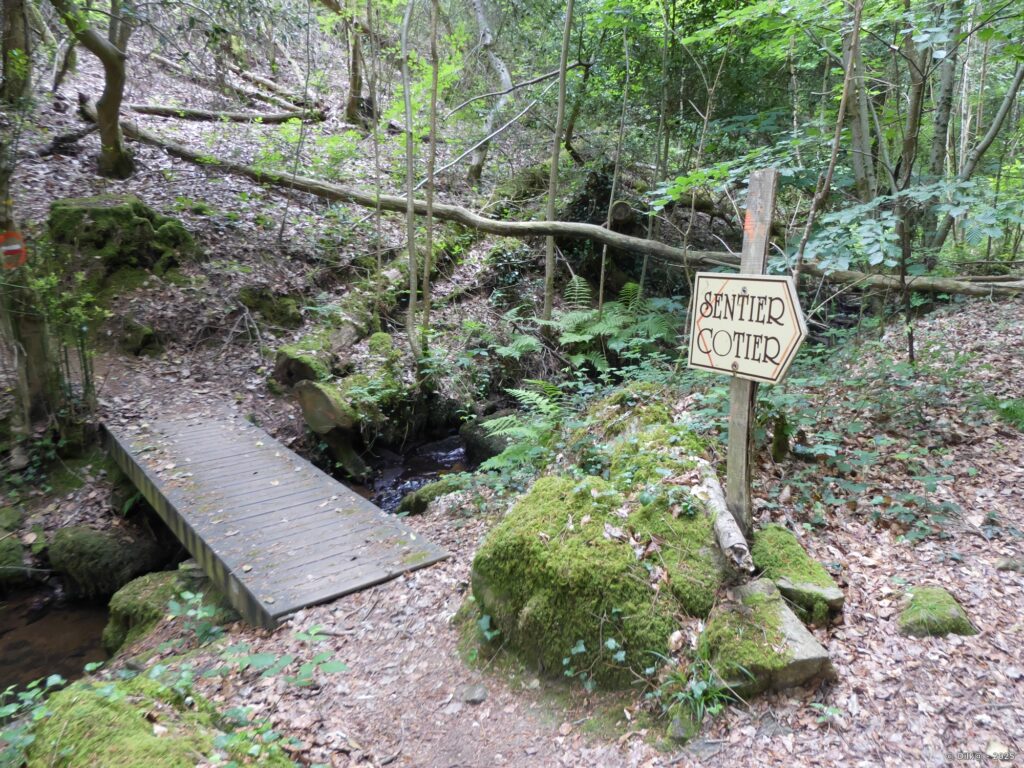 Le sentier côtier GR34 au milieu des bois