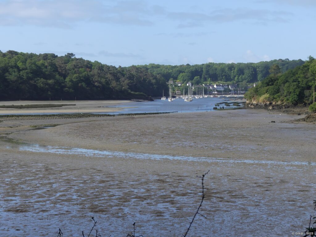 Le port du Bélon au loin, visible à la sortie de l’anse de Penmor