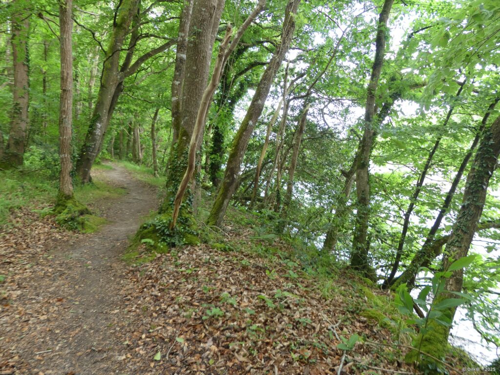 Le sentier dans le Bois de Kermeur