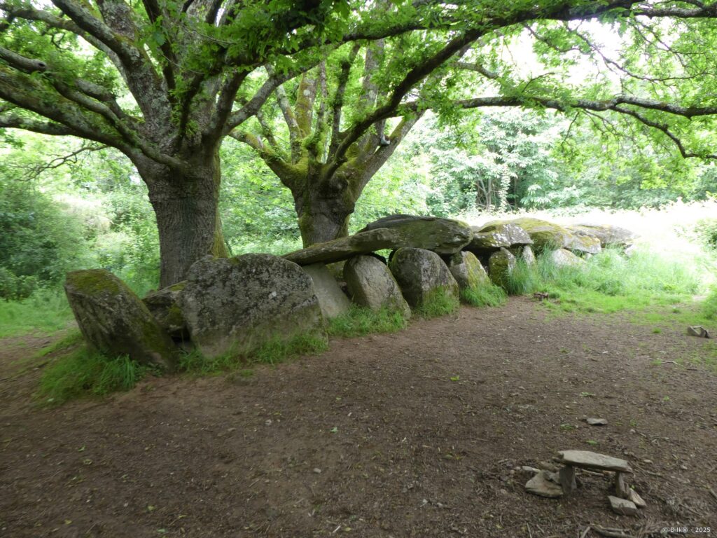 Allée couverte de Kermeur-Bihan