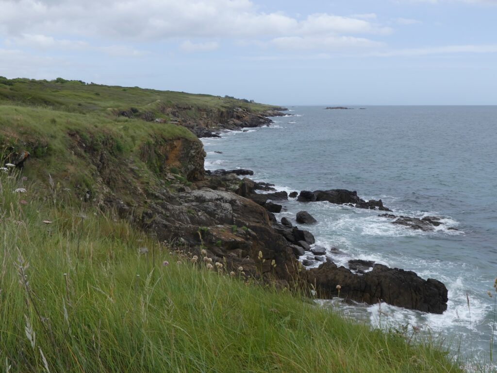 La plage Grise