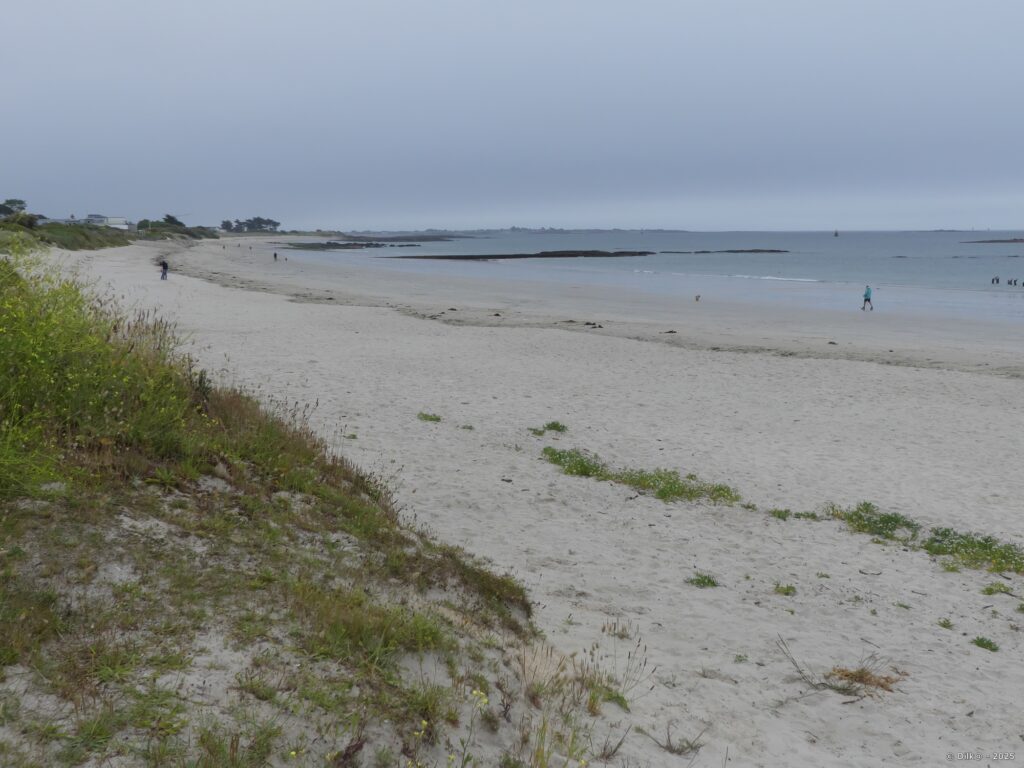 La plage de Kerguélen