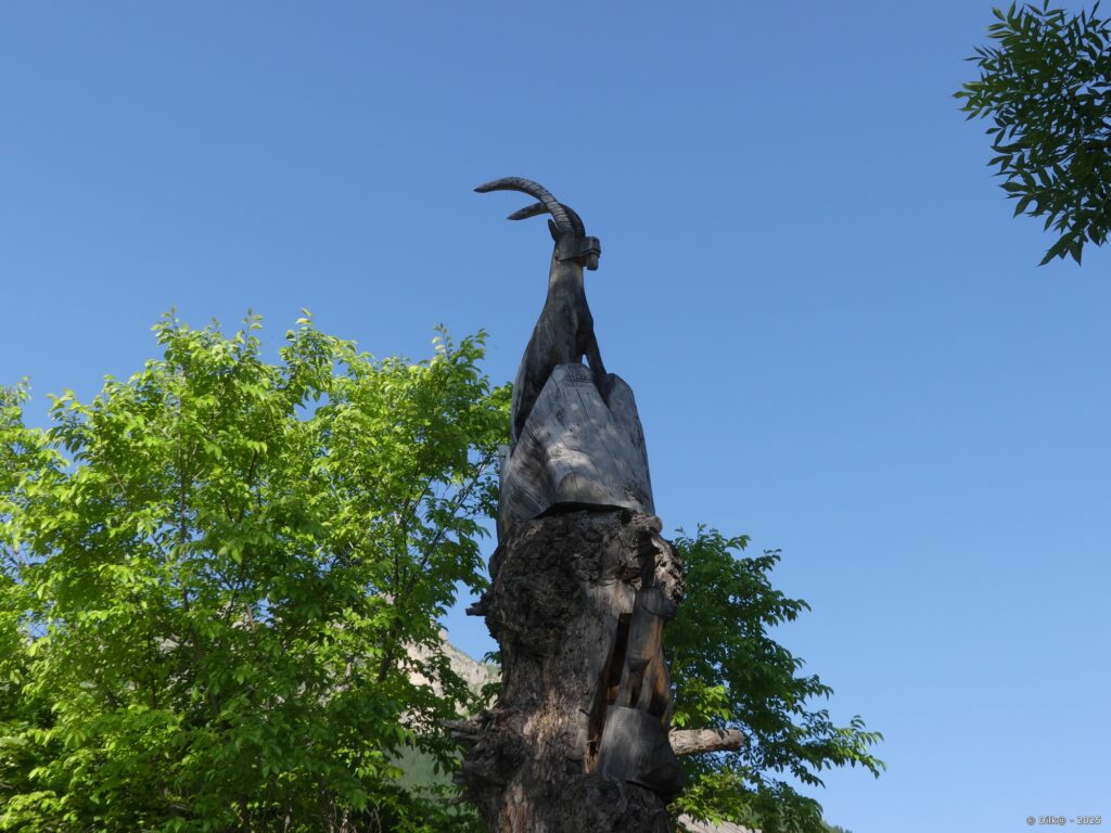 Bouquetin sculpté dans un tronc d'arbre