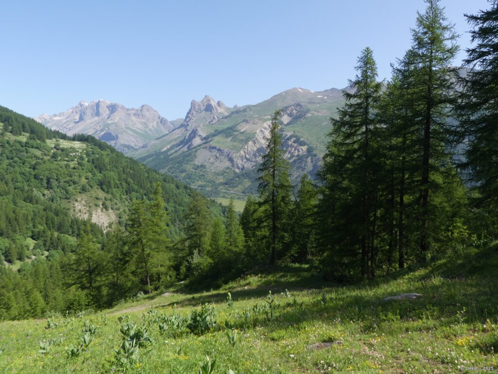 Près des Grangettes