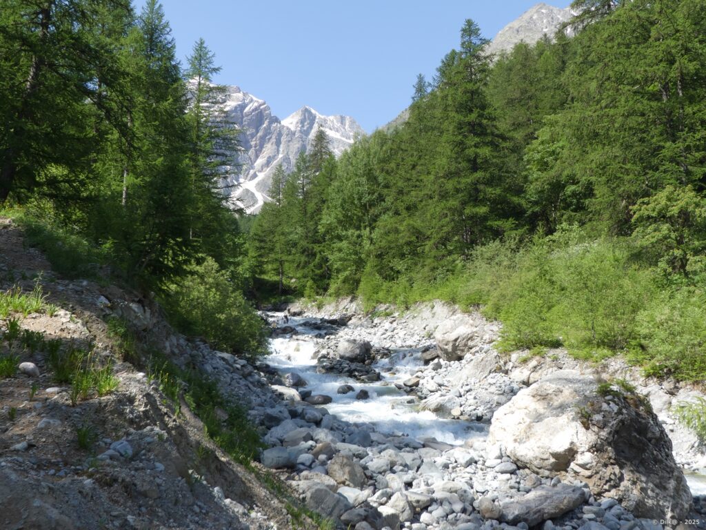 Le torrent du Vallon du Grand Tabuc