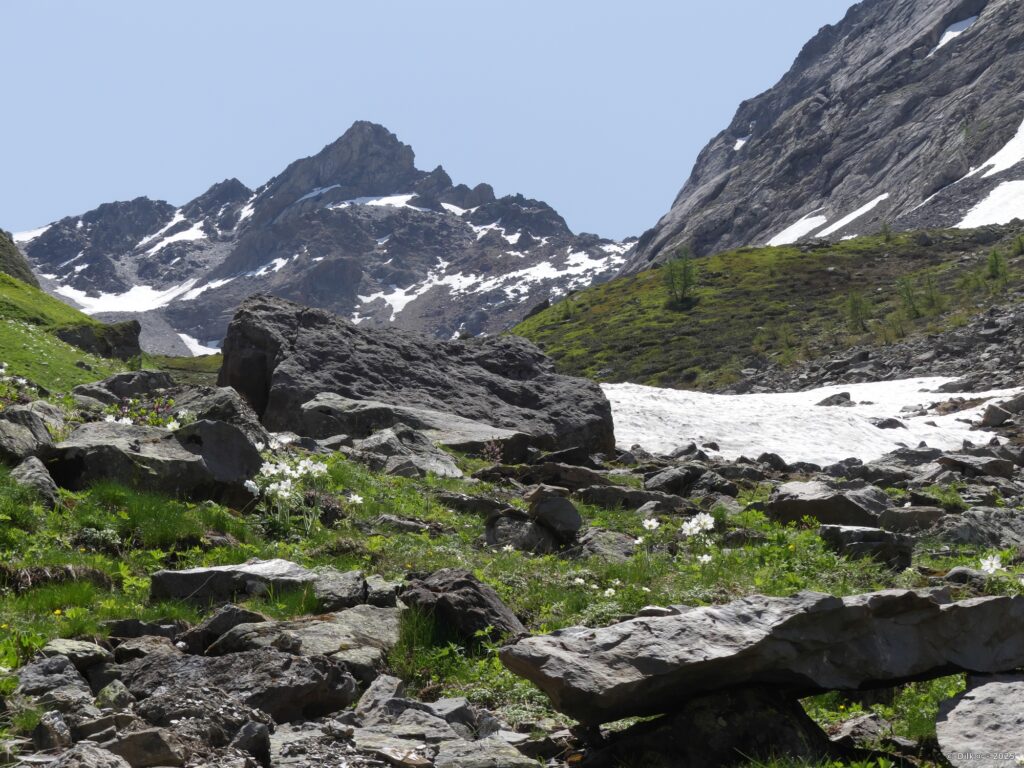Névés dans le Vallon de la Montagnolle