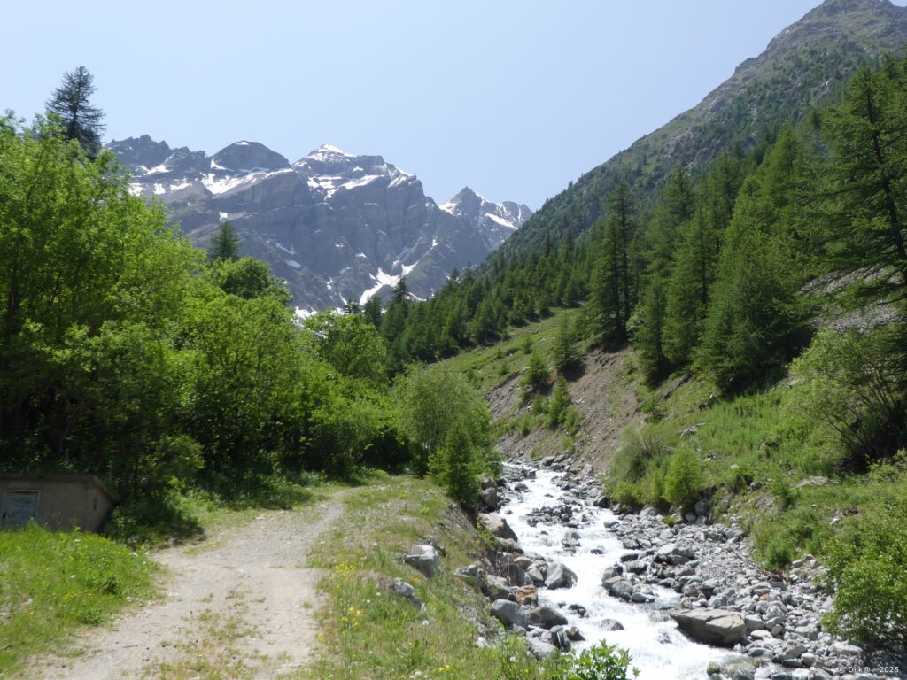 Le sentier suit le torrent dans le Vallon du Grand Tabuc