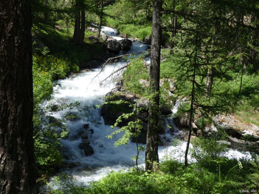 Le sentier longe le torrent du Petit Tabuc