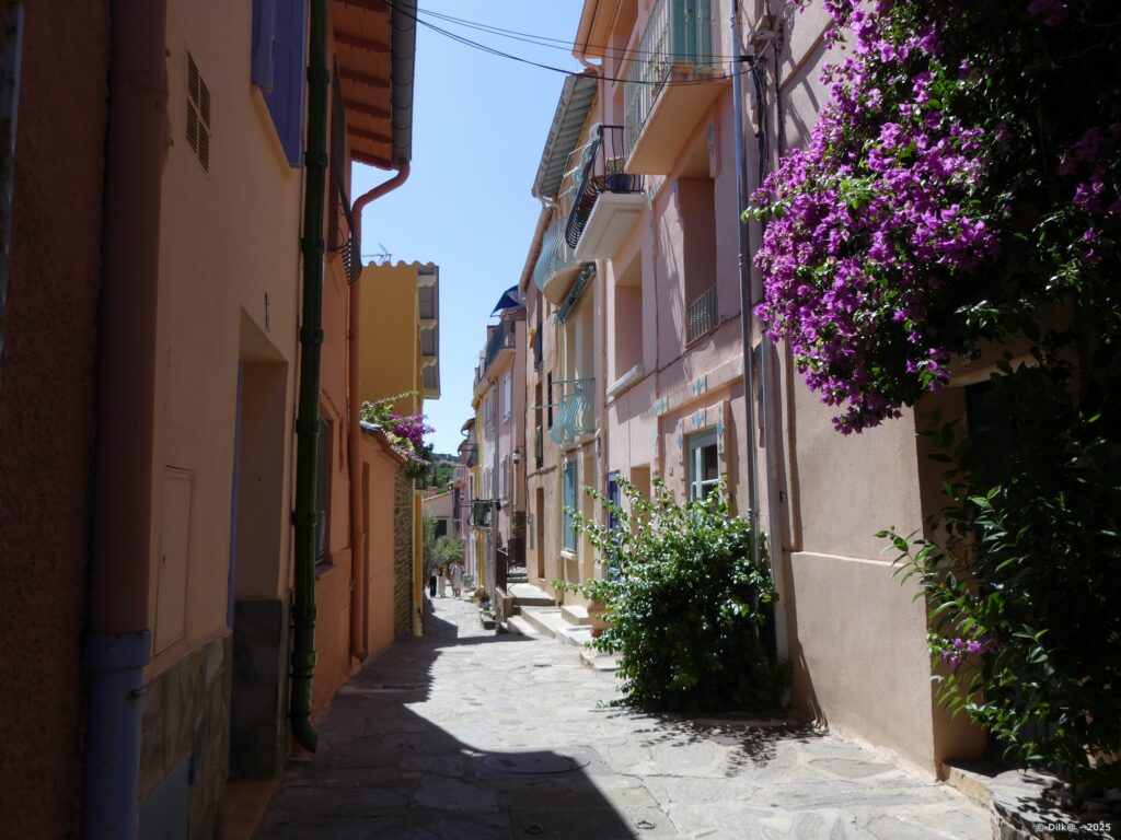 Les ruelles de Collioure