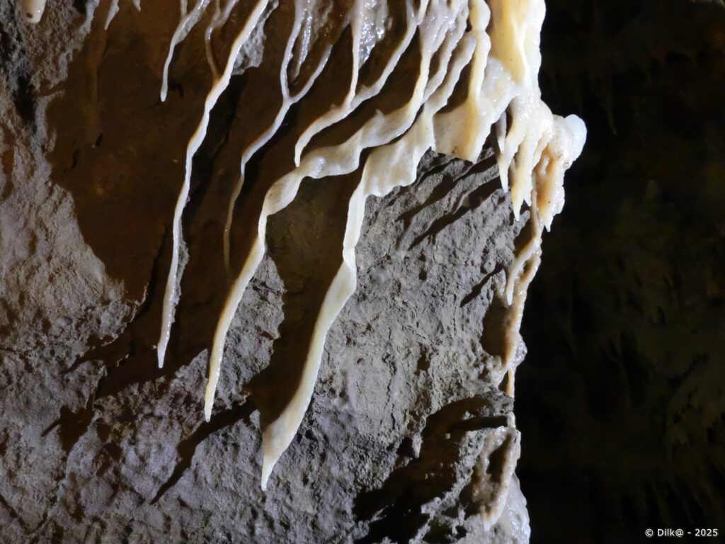 Grotte de Fontrabiouse