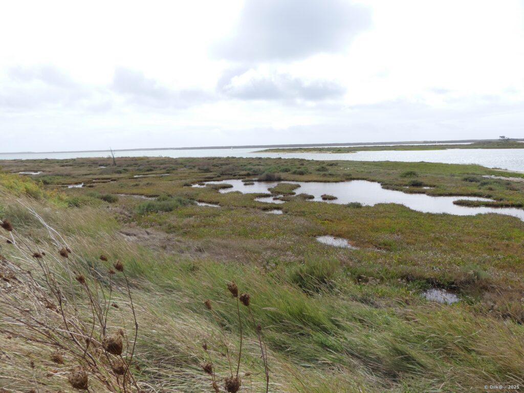 Le marais de Kerner et au fond le banc de sable de Gâvres