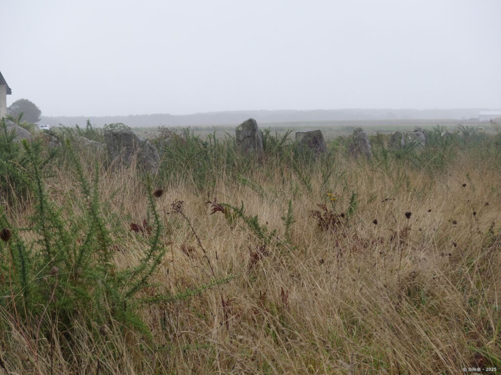 Alignements du Gueldro