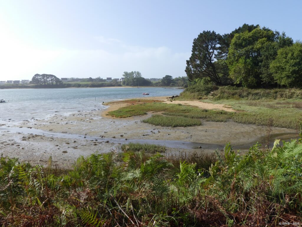 Plage de Mané-Vechen