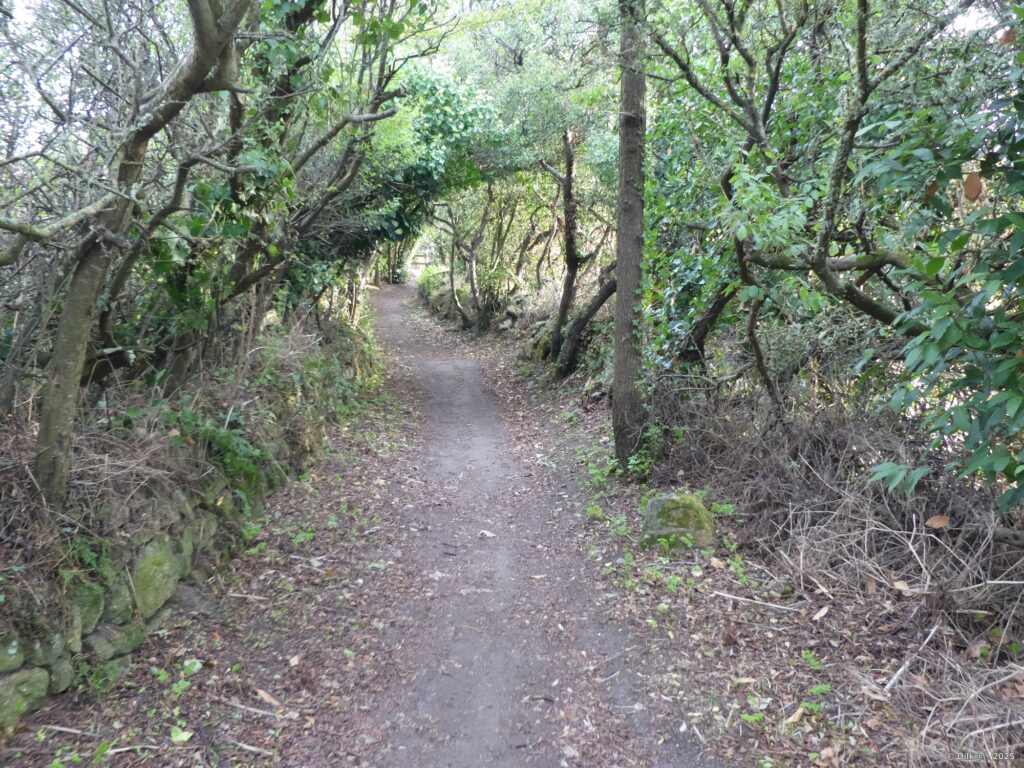 Le sentier est bordé de murets de pierres