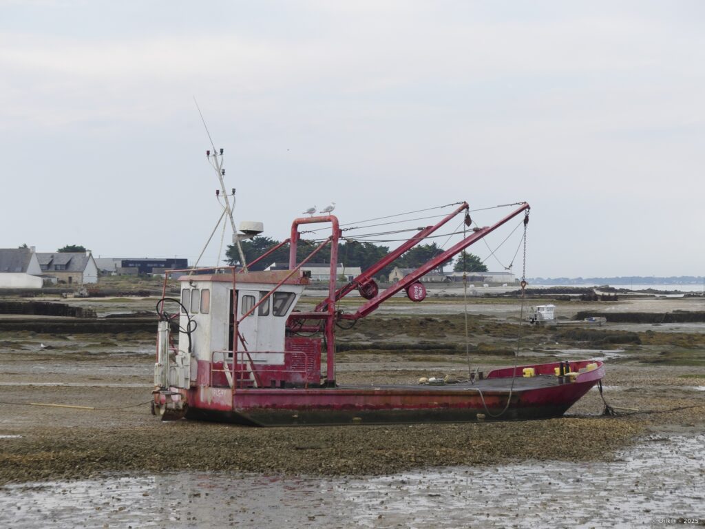 Bateau à fond plat pour l'ostréiculture