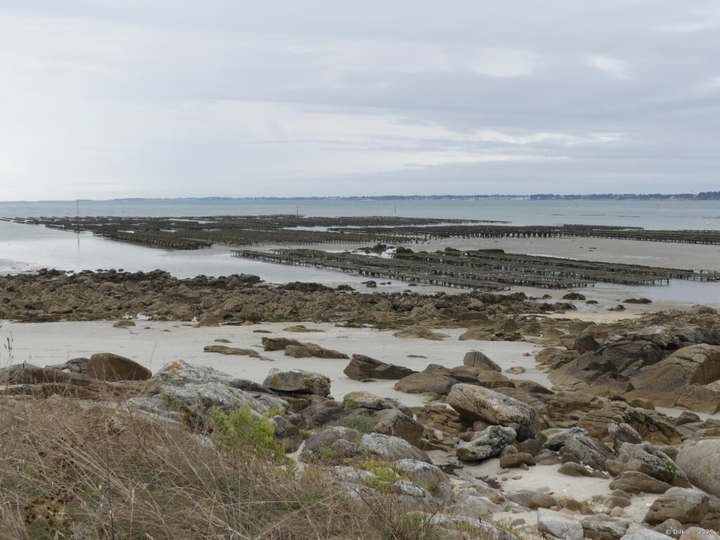 Les parcs à huitres sont visibles à marée basse