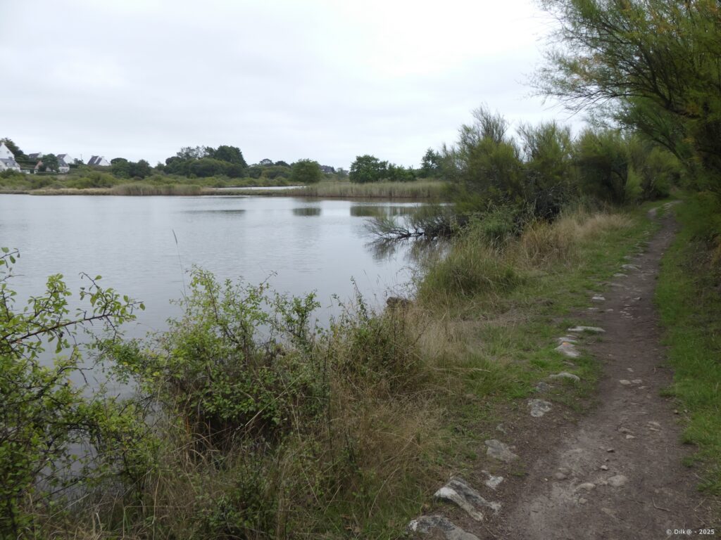 Le marais de Kerdual