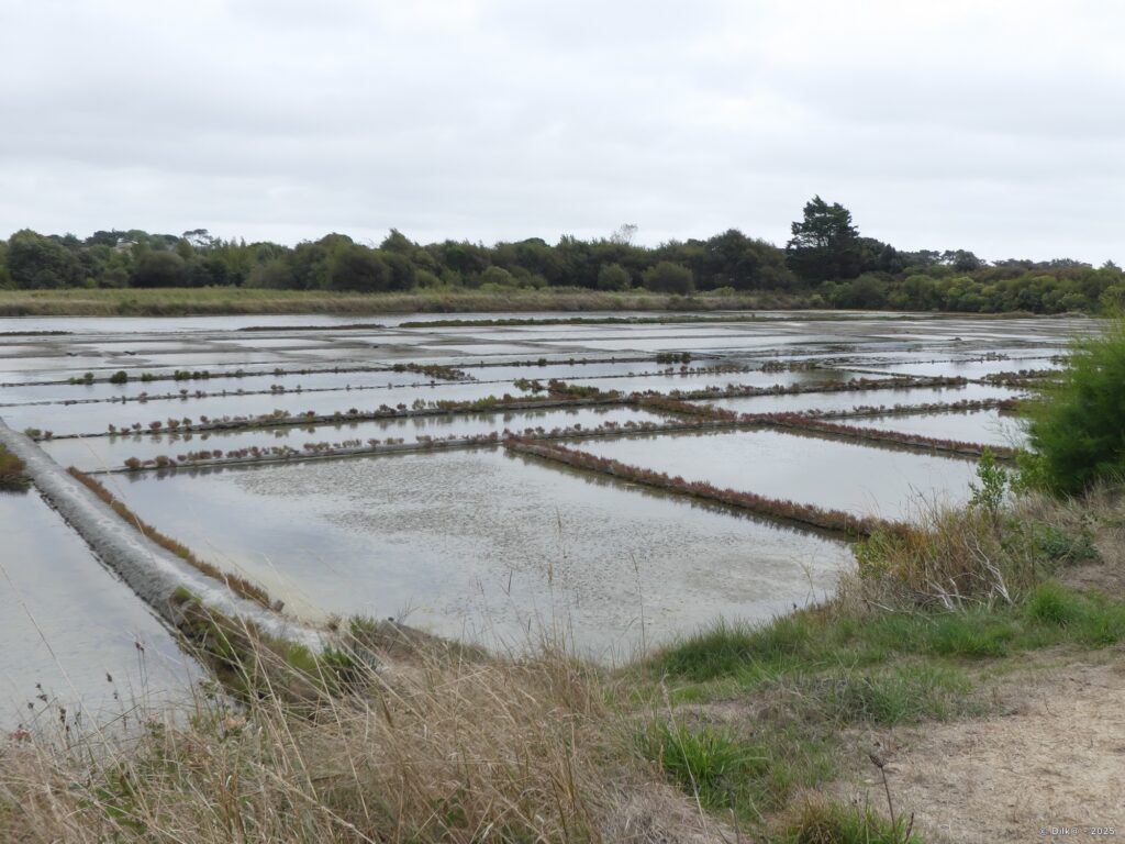 Marais salants de Kervillen