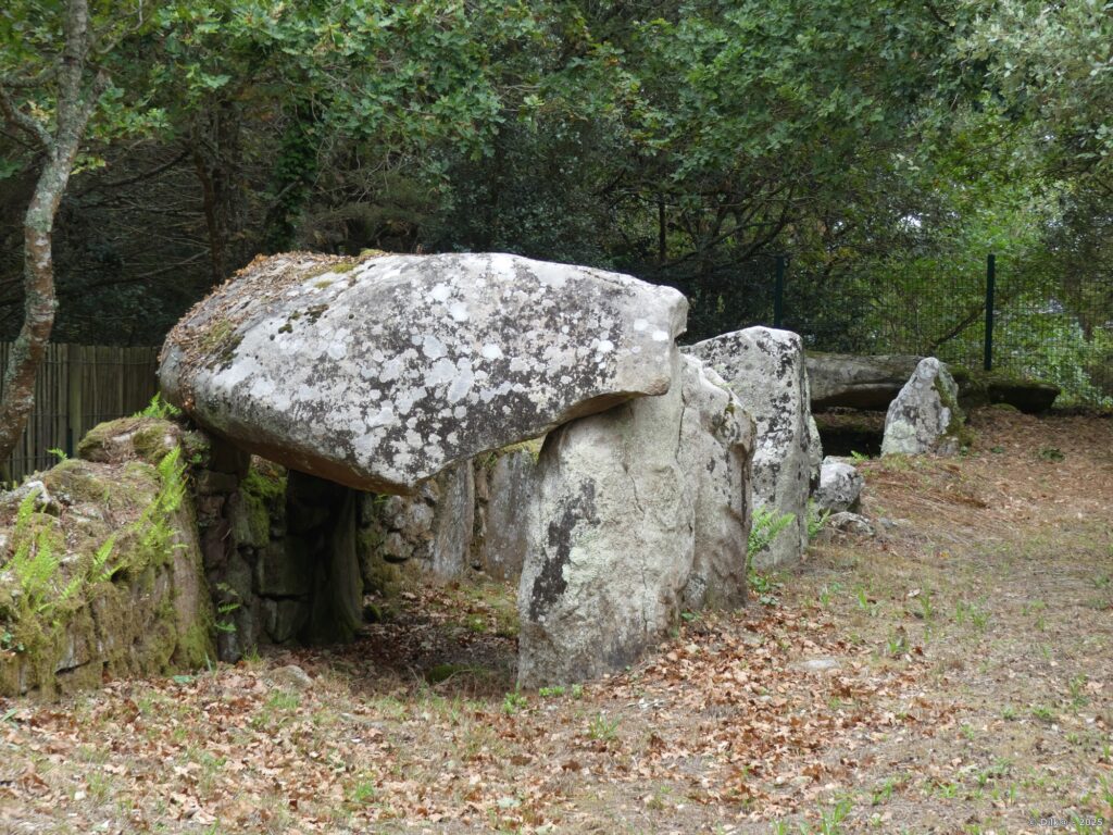 Le site archéologique de Mané Roullarde