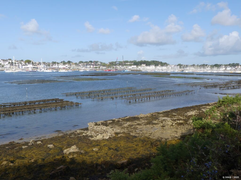 Les parcs à huitres et au fond le port de la Trinité-sur-Mer