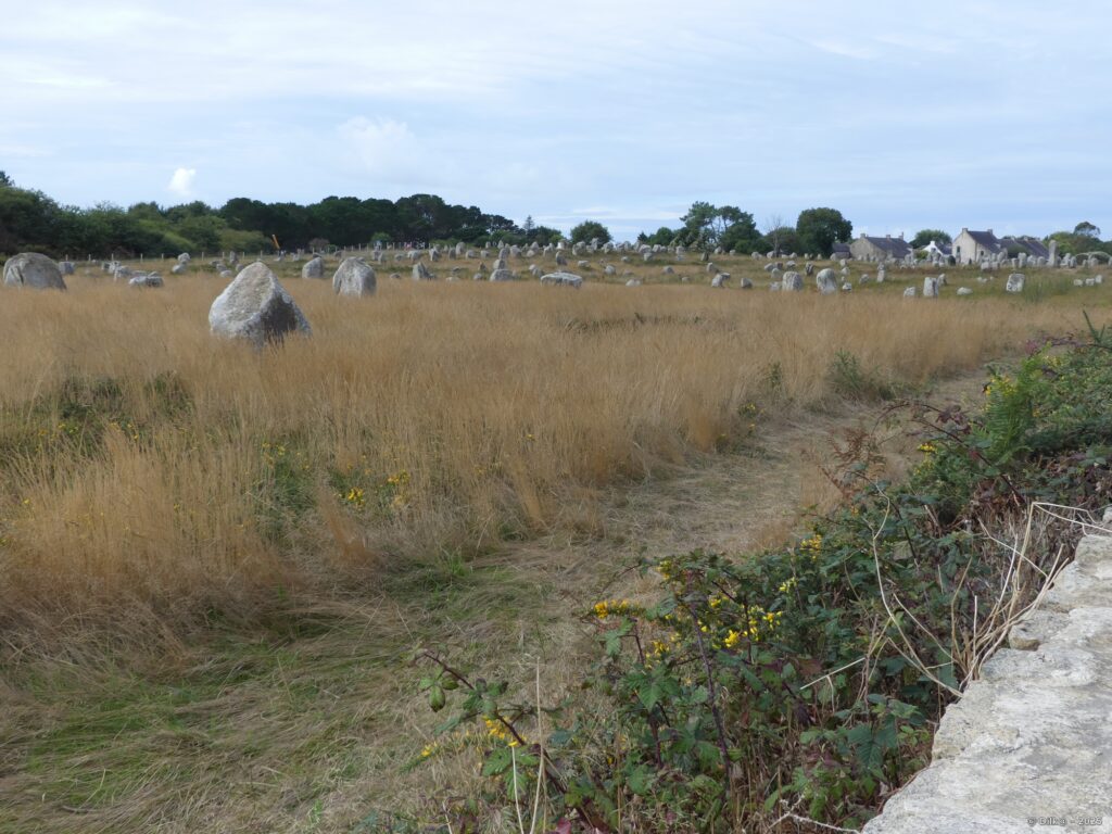 Les alignements du Ménec à Carnac